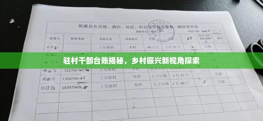 驻村干部台账揭秘，乡村振兴新视角探索