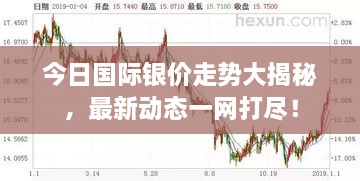 今日国际银价走势大揭秘，最新动态一网打尽！