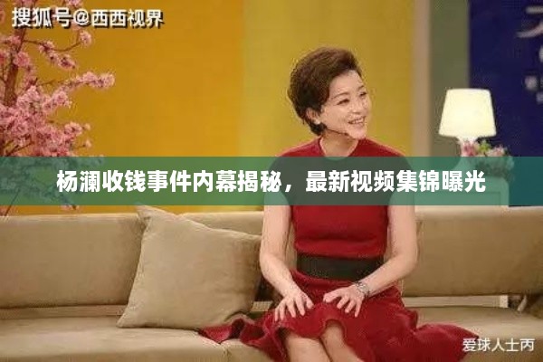杨澜收钱事件内幕揭秘，最新视频集锦曝光