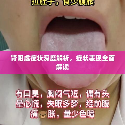 肾阳虚症状深度解析，症状表现全面解读