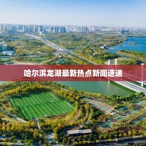 哈尔滨龙湖最新热点新闻速递