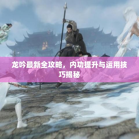 龙吟最新全攻略，内功提升与运用技巧揭秘