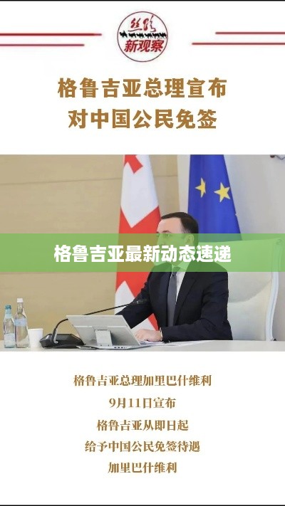 格鲁吉亚最新动态速递