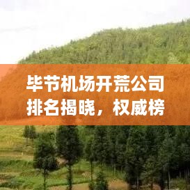 毕节机场开荒公司排名揭晓，权威榜单揭秘优质企业！