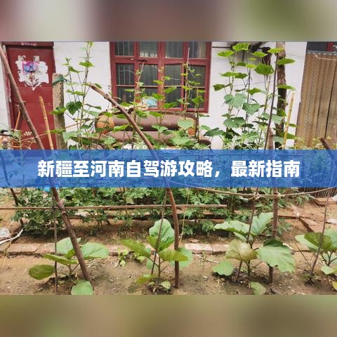 新疆至河南自驾游攻略，最新指南