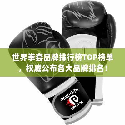 世界拳套品牌排行榜TOP榜单，权威公布各大品牌排名！