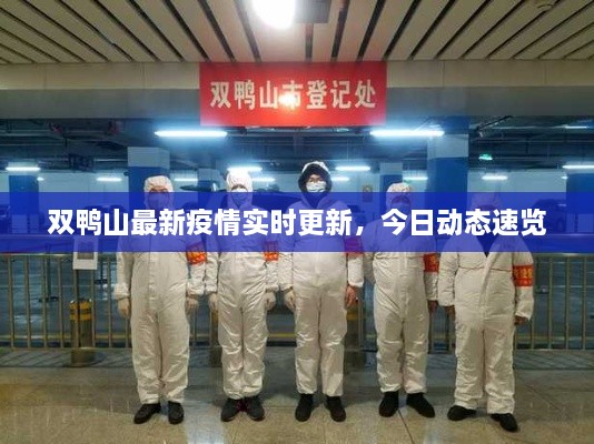 双鸭山最新疫情实时更新，今日动态速览