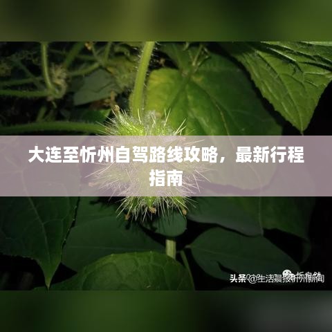 大连至忻州自驾路线攻略，最新行程指南