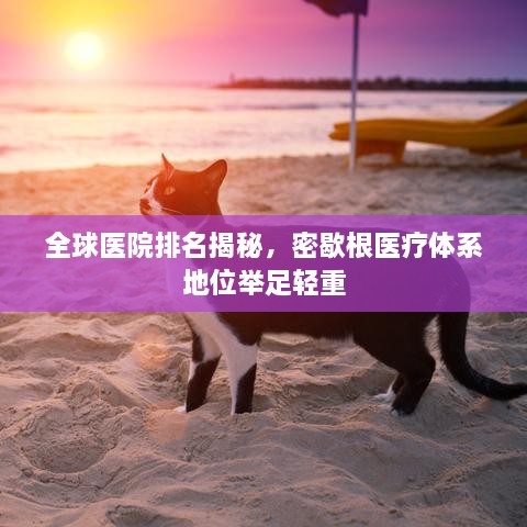 全球医院排名揭秘，密歇根医疗体系地位举足轻重