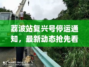 荔波站复兴号停运通知，最新动态抢先看