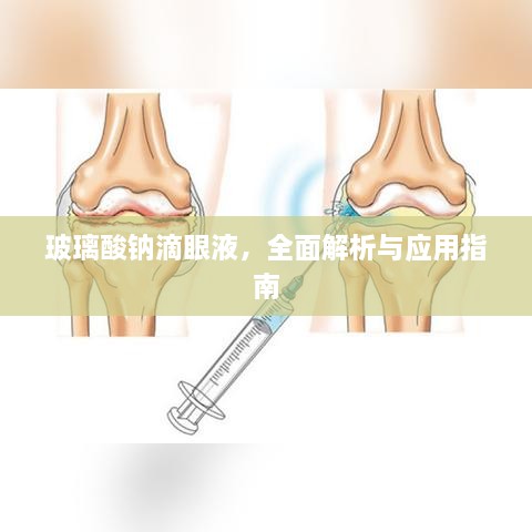 玻璃酸钠滴眼液，全面解析与应用指南