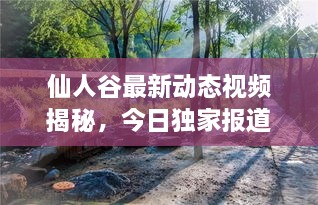 仙人谷最新动态视频揭秘，今日独家报道！
