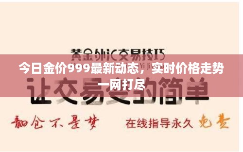 今日金价999最新动态，实时价格走势一网打尽