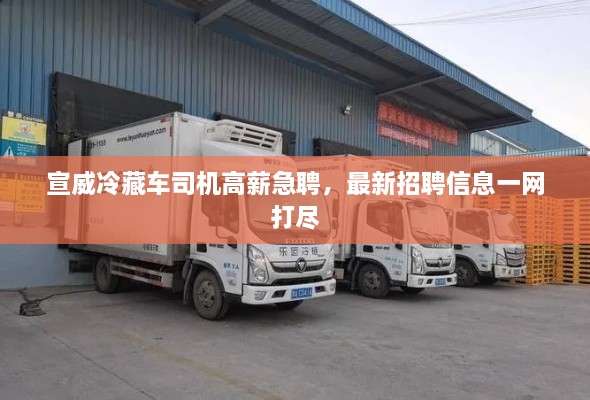 宣威冷藏车司机高薪急聘，最新招聘信息一网打尽