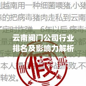 云南阀门公司行业排名及影响力解析