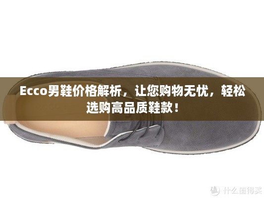 Ecco男鞋价格解析，让您购物无忧，轻松选购高品质鞋款！