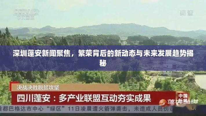 深圳蓬安新闻聚焦，繁荣背后的新动态与未来发展趋势揭秘