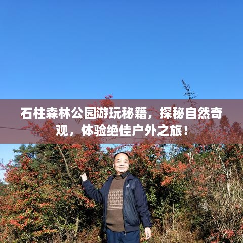石柱森林公园游玩秘籍，探秘自然奇观，体验绝佳户外之旅！