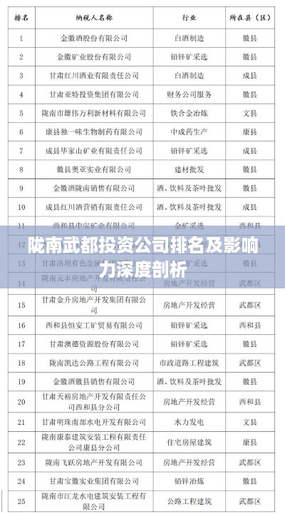 陇南武都投资公司排名及影响力深度剖析