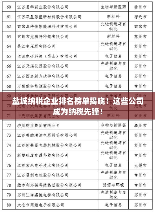 盐城纳税企业排名榜单揭晓！这些公司成为纳税先锋！