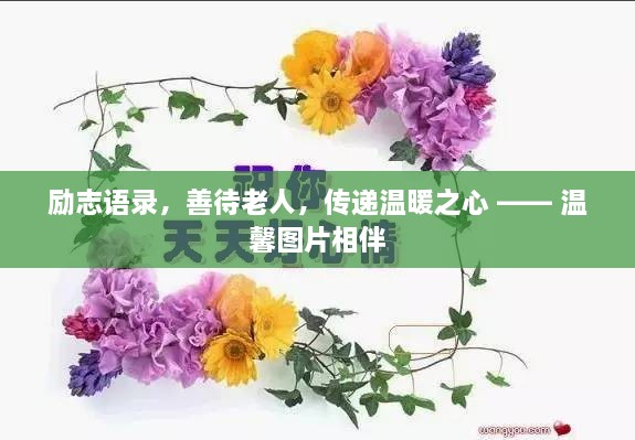 励志语录，善待老人，传递温暖之心 —— 温馨图片相伴