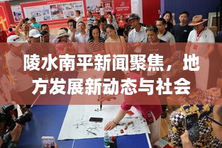 陵水南平新闻聚焦，地方发展新动态与社会热点一网打尽