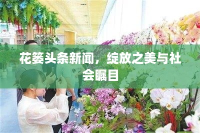 花篓头条新闻，绽放之美与社会瞩目