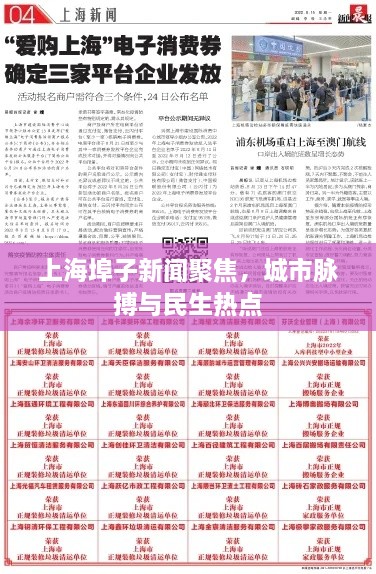 上海埠子新闻聚焦，城市脉搏与民生热点