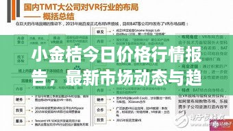 小金桔今日价格行情报告，最新市场动态与趋势分析