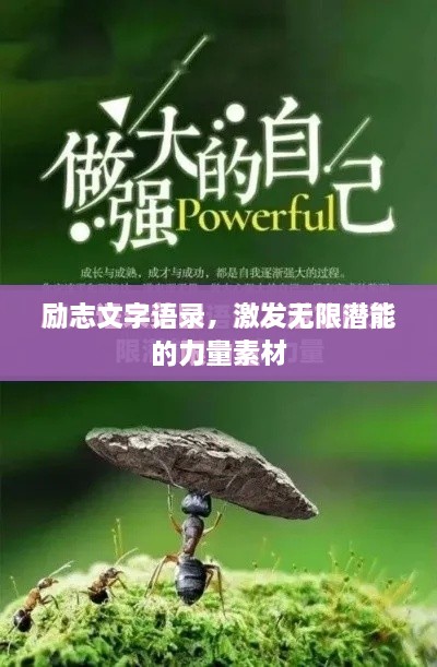 励志文字语录，激发无限潜能的力量素材