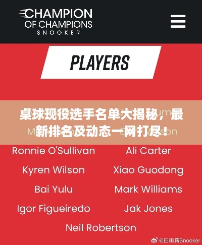 桌球现役选手名单大揭秘，最新排名及动态一网打尽！