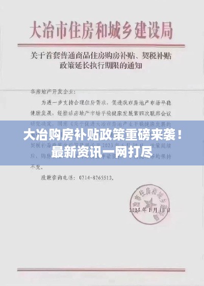 大冶购房补贴政策重磅来袭！最新资讯一网打尽
