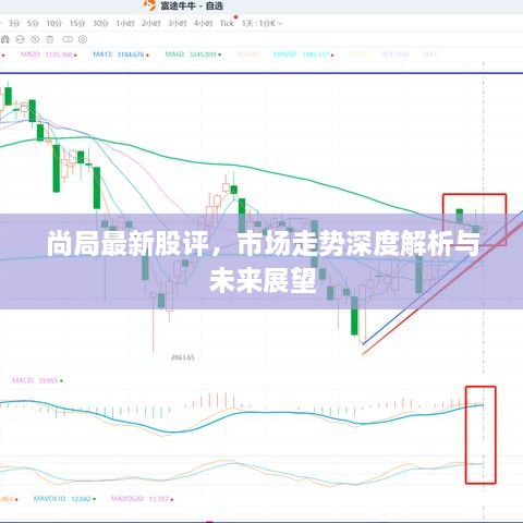 尚局最新股评，市场走势深度解析与未来展望