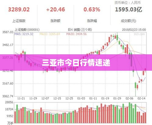 三亚市今日行情速递