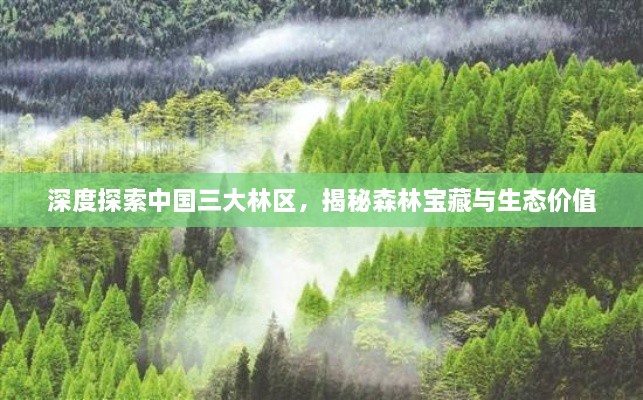 深度探索中国三大林区，揭秘森林宝藏与生态价值