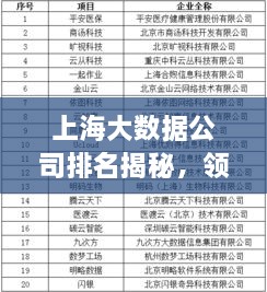上海大数据公司排名揭秘，领先企业榜单，不容错过！