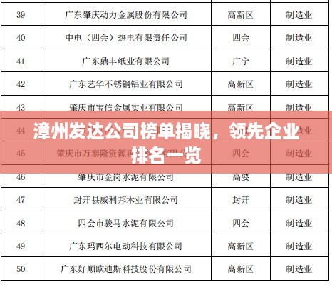 漳州发达公司榜单揭晓，领先企业排名一览