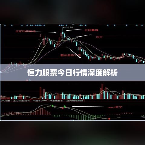 恒力股票今日行情深度解析