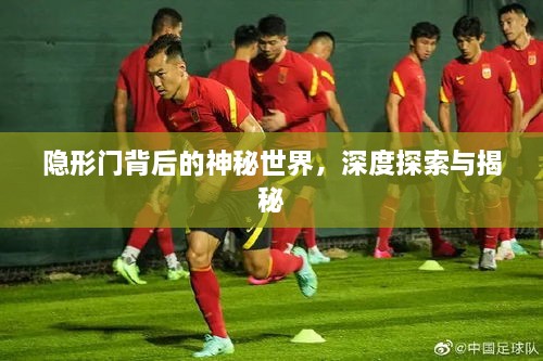 隐形门背后的神秘世界，深度探索与揭秘