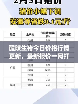 醴陵生猪今日价格行情更新，最新报价一网打尽！