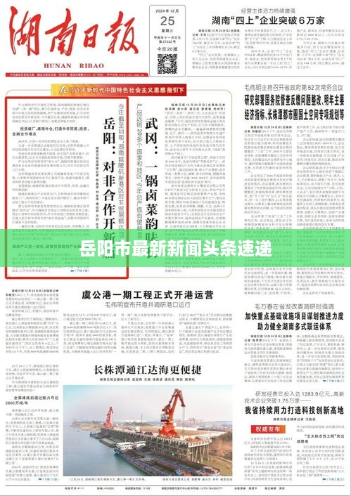 岳阳市最新新闻头条速递