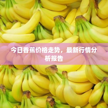 今日香蕉价格走势，最新行情分析报告
