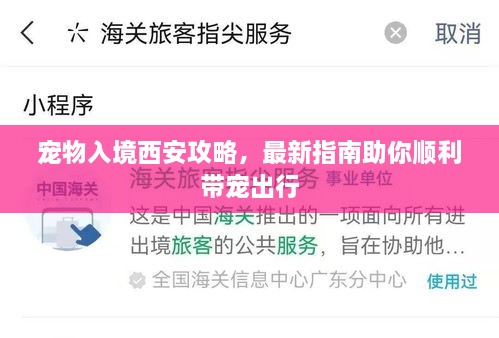 宠物入境西安攻略，最新指南助你顺利带宠出行