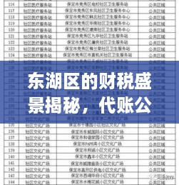 东湖区的财税盛景揭秘，代账公司排名榜深度解读