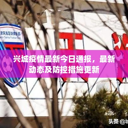 兴城疫情最新今日通报，最新动态及防控措施更新