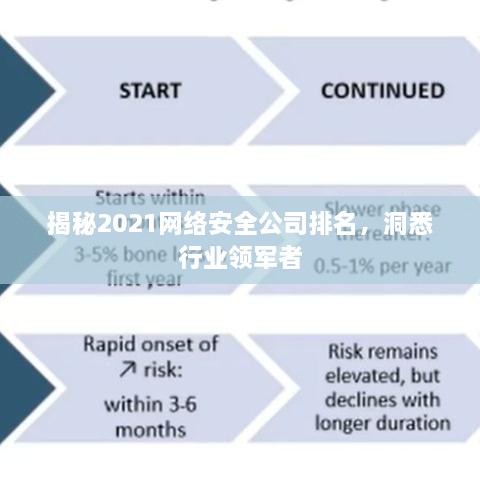 揭秘2021网络安全公司排名，洞悉行业领军者
