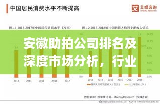 安徽助拍公司排名及深度市场分析，行业洞察与趋势解读