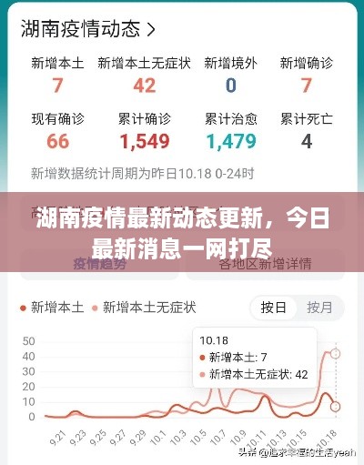 湖南疫情最新动态更新，今日最新消息一网打尽
