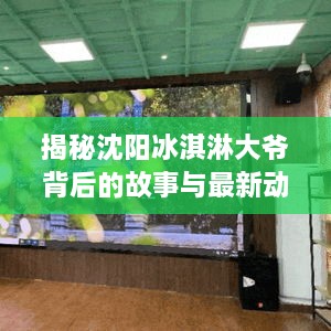 揭秘沈阳冰淇淋大爷背后的故事与最新动态揭秘