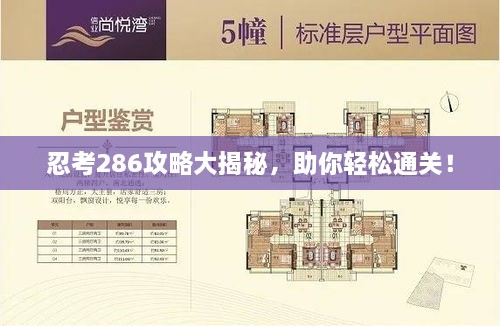 忍考286攻略大揭秘，助你轻松通关！